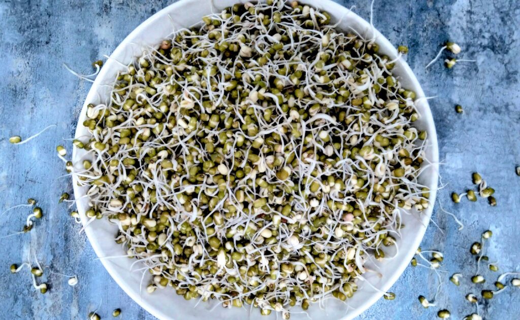 Sprouted moong salad