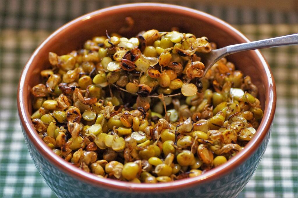 khakhra with sprouted moong